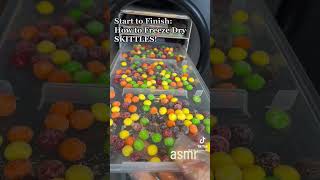 How to make Freeze Dried Skittles shorts asmr freezedried [upl. by Hailee]