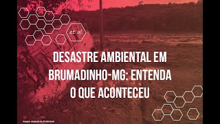 Desastre ambiental em BrumadinhoMG Entenda o que aconteceu [upl. by Elberta]