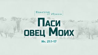 Ев от Иоанна 108 Паси овец Моих Алексей Коломийцев [upl. by Dogs]