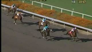 Zenyatta A Perfect 19 For 19 After Victory In Ladys Secret [upl. by Tarttan688]