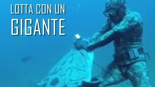 PESCA SUB lotta con un gigante in mare  Pesca subacquea in mare Pesca sub in apnea VIDEO PESCA 2014 [upl. by Joleen]