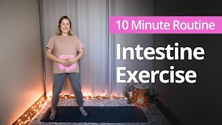 INTESTINE EXERCISE for Gut Health  10 Minute Daily Routines [upl. by Enirahtak]