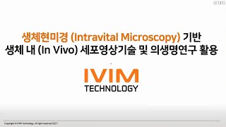 생체현미경 Intravital Twophoton Microscopy 기반 생체 내 In Vivo 세포영상기술 및 의생명연구 활용 [upl. by Llamaj]