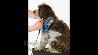 Automatic Slicker Brush for Pets [upl. by Assille]