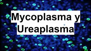 Mycoplasma y ureaplasma  Microbiología Médica [upl. by Nered137]