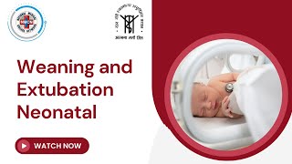 Weaning and Extubation Neonatal [upl. by Isyad228]