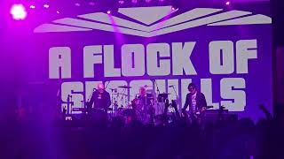 A Flock Of Seagulls  Space Age Love Song Live Buckhead GA 63024 [upl. by Peppel647]