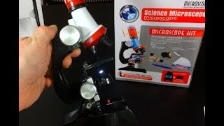 Cheapest 13 microscope with 1200X magnification What can we see [upl. by Lyj]