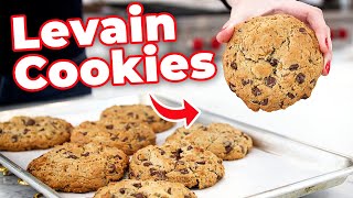 How To Make The Famous Levain Chocolate Chip Cookies [upl. by Ddot]