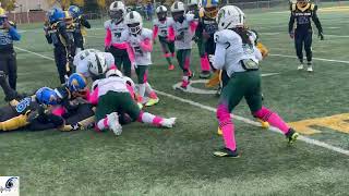 Kyrie CaterHarris Football Highlights [upl. by Adnawal]