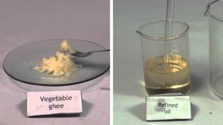 Qualitative Analysis of Oil and Fats  MeitY OLabs [upl. by Eenhat]