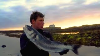 Spearfishing massive Bass at Aberffraw North Wales and diving with Rays [upl. by Ynaffets]