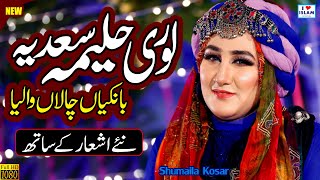 Bankian Chala Waleya  Shumaila Kosar  Lori  Naat Sharif  Naat Pak  i Love islam [upl. by Byers]