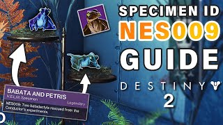 How to Complete Failsafe SPECIMEN ID NES009 Complete Guide  FAST amp EASY ► Destiny 2 [upl. by Monah113]