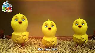 🐥PioPio Los Pollitos  A Ram Sam Sam  Canciones Infantiles para niños  ChuChuWa [upl. by Aerdnod]