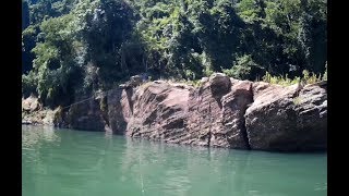 Pescaria e passeio em IpaussuSP  Rio Paranapanema  Um paraíso no Estado de São Paulo [upl. by Bartlett]