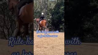 Need better scores in a dressage test for your half pass dressage horse community equestrian [upl. by Hally]