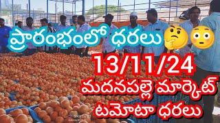 131124 Madanapalle Tomato Market price Today  Today Tomato Market Rate in Madanapalle today [upl. by Straus]