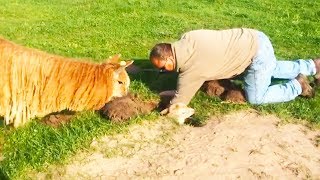 Ozzy Man Reviews Alpaca in a Hole [upl. by Delaine]