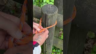 Very Effective HitchHammock Knot knot knots rope diy ideas tricks [upl. by Maybelle]