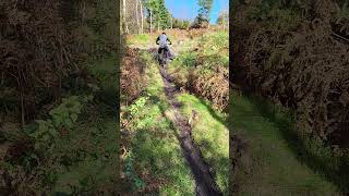 Hillclimb haldon Steeper than it looks mtb ytshort mountainbike hillclimbracing [upl. by Akirret353]