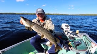 Crankbait Pike On Apisabigo Lake [upl. by Liberati]