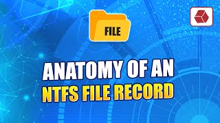 Anatomy of an NTFS FILE Record  Windows File System Forensics [upl. by Vine]