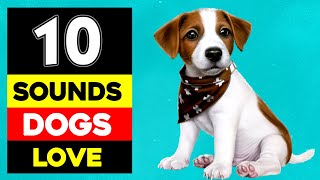 10 Sounds Dogs Love To Hear The Most GUARANTEED [upl. by Paris]