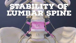 Stability of lumbar spine [upl. by Kinnon]