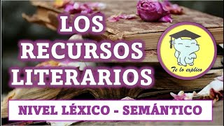 RECURSOS LITERARIOS LÉXICO SEMÁNTICOS [upl. by Rainer]