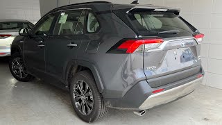 NOVA TOYOTA RAV4 2024 CHEGOU E SE MANTÉM O SUV HÍBRIDO MAIS CONFIÁVEL DO BRASIL VALE A PENA O PREÇO [upl. by Adamski]