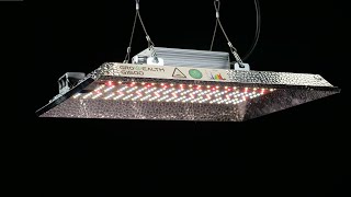 Growealth G1500 LED grow light with UVA amp IR  PAR test and review [upl. by Nerak]