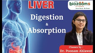 NEET TARGET I LIVER DIGESTION AND ABSORPTION I Dr Poonam Ahlawat [upl. by Buchheim210]