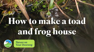 How to make a toad and frog house  RSPB Nature on Your Doorstep [upl. by Leelah882]