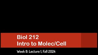 CSULB Biol 212 Fall 2024  Week 8 Lecture 1 [upl. by Ddart]