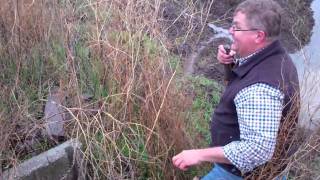 Cover Crop Drainage by Bryce Lundberg [upl. by Yrreb]