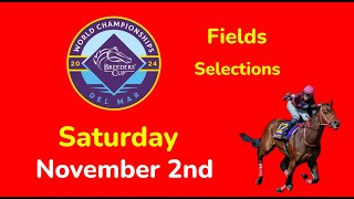 Breeders Cup Saturday 11224 Fields amp Selections  Full Card [upl. by Narahs]