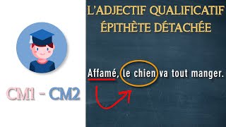 Ladjectif qualificatif épithète détachée  CM1 CM2  Petits Savants [upl. by Morven]