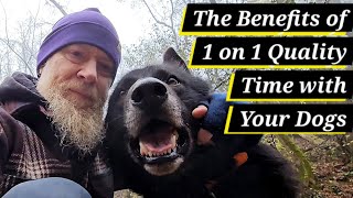 The Benefits of Spending 1 on 1 Time with Your Dog in Multi Dog Households [upl. by Akissej]