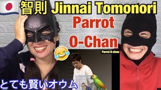 智則 Jinnai TomonoriA SkitParrot OChan  reaction video [upl. by Leonerd933]