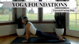 Yoga Foundations Upward Facing Dog [upl. by Pare772]