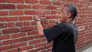 Talking To A Brick Wall Meme [upl. by Adnaval86]