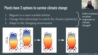 Local adaptation and phenotypic plasticity in the California endemic toyon [upl. by Lindo]