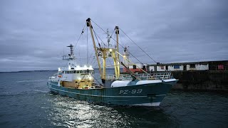 Beam Trawler Enterprise PZ99 Lands Fish In Newlyn Cornwall [upl. by Noraha]