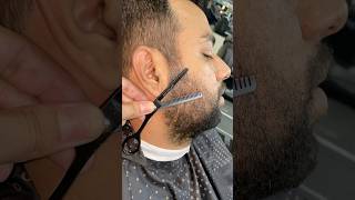 Pointed Beard Cut Styles adi beard skincare barber [upl. by Weidar680]