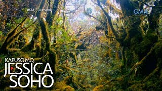 Kapuso Mo Jessica Soho Nakamamanghang mossy forest sa Compostela Valley [upl. by Worlock]