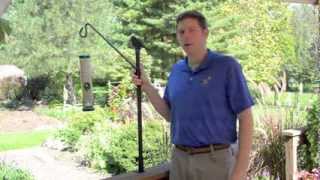 How to Deck Mount Your Bird Feeders [upl. by Ear935]