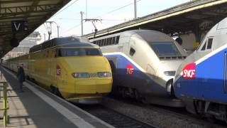 TGV cargo Euro Carex à Paris gare de Lyon [upl. by Eivod]