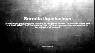 Medical vocabulary What does Serratia liquefaciens mean [upl. by Decamp]