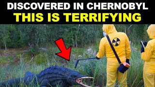 What They Discovered In Chernobyl Surprised the Whole World [upl. by Archibaldo821]